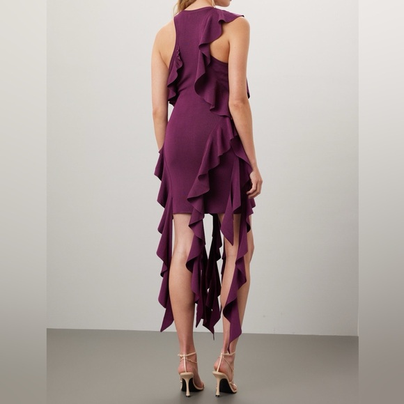 SIMKHAI Wilda Ruffle Dress, XS - Picture 4 of 13